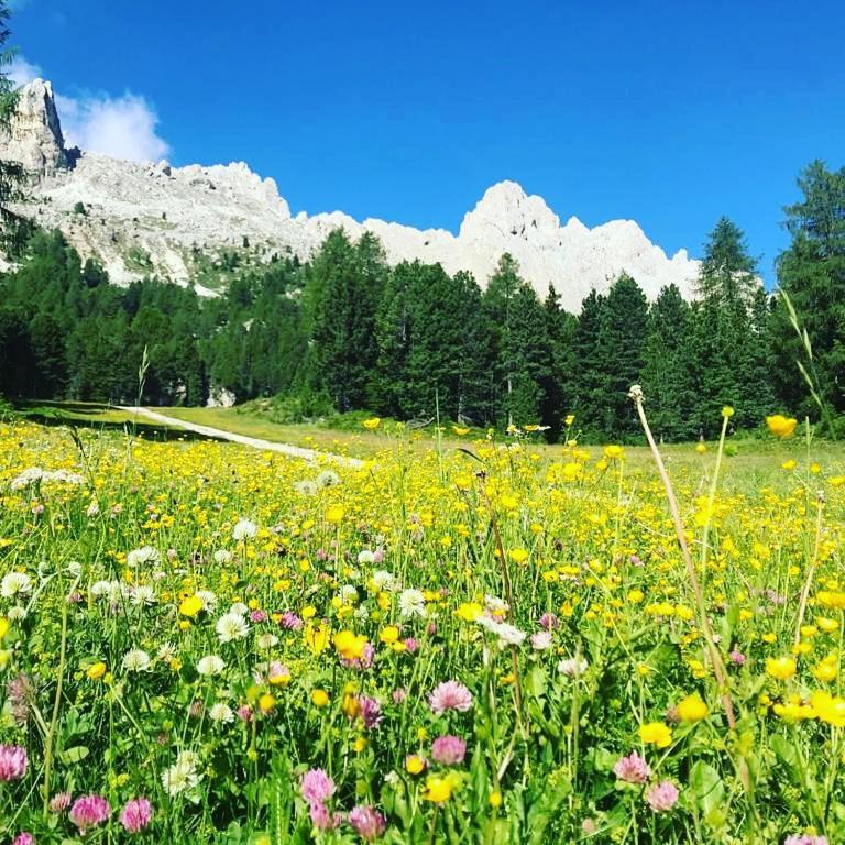Mountain Alleghe Exterior foto