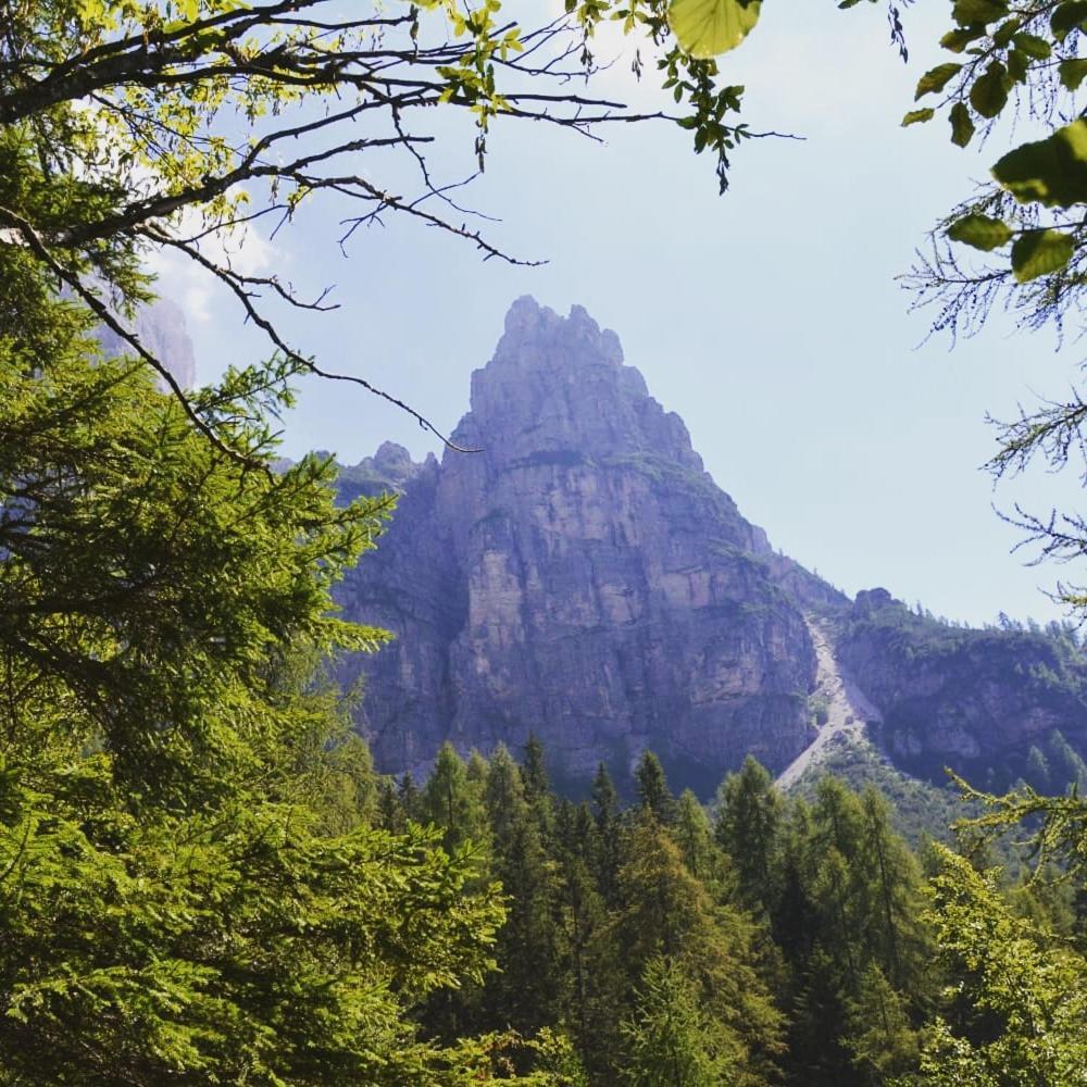 Mountain Alleghe Quarto foto
