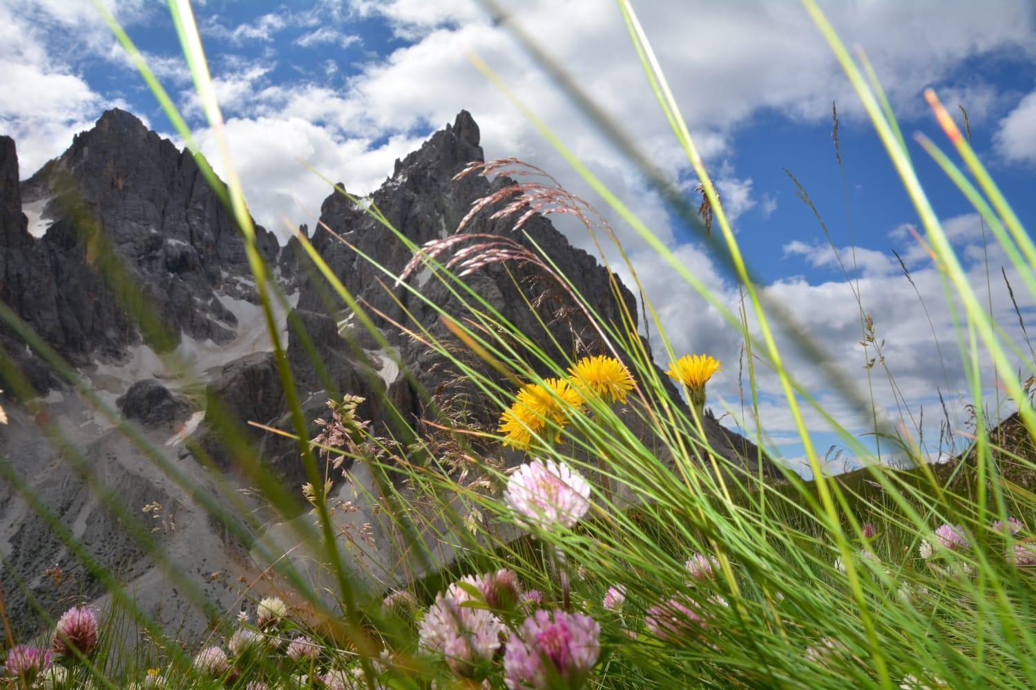 Mountain Alleghe Quarto foto